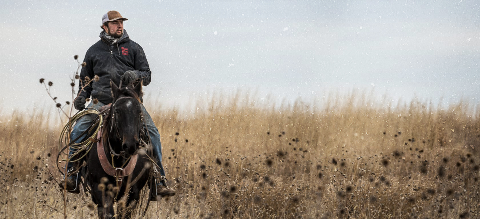 man riding a horse